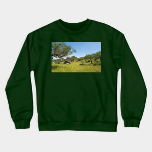 Landscape Near Nerezisca, Brac Island, Croatia Crewneck Sweatshirt